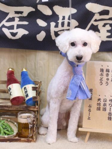 20240619しろまるくん